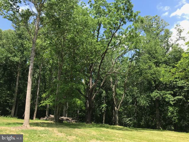 8050 Leeds Manor Road Marshall, VA 20115 - Photo 15 of 21 View from potential house site