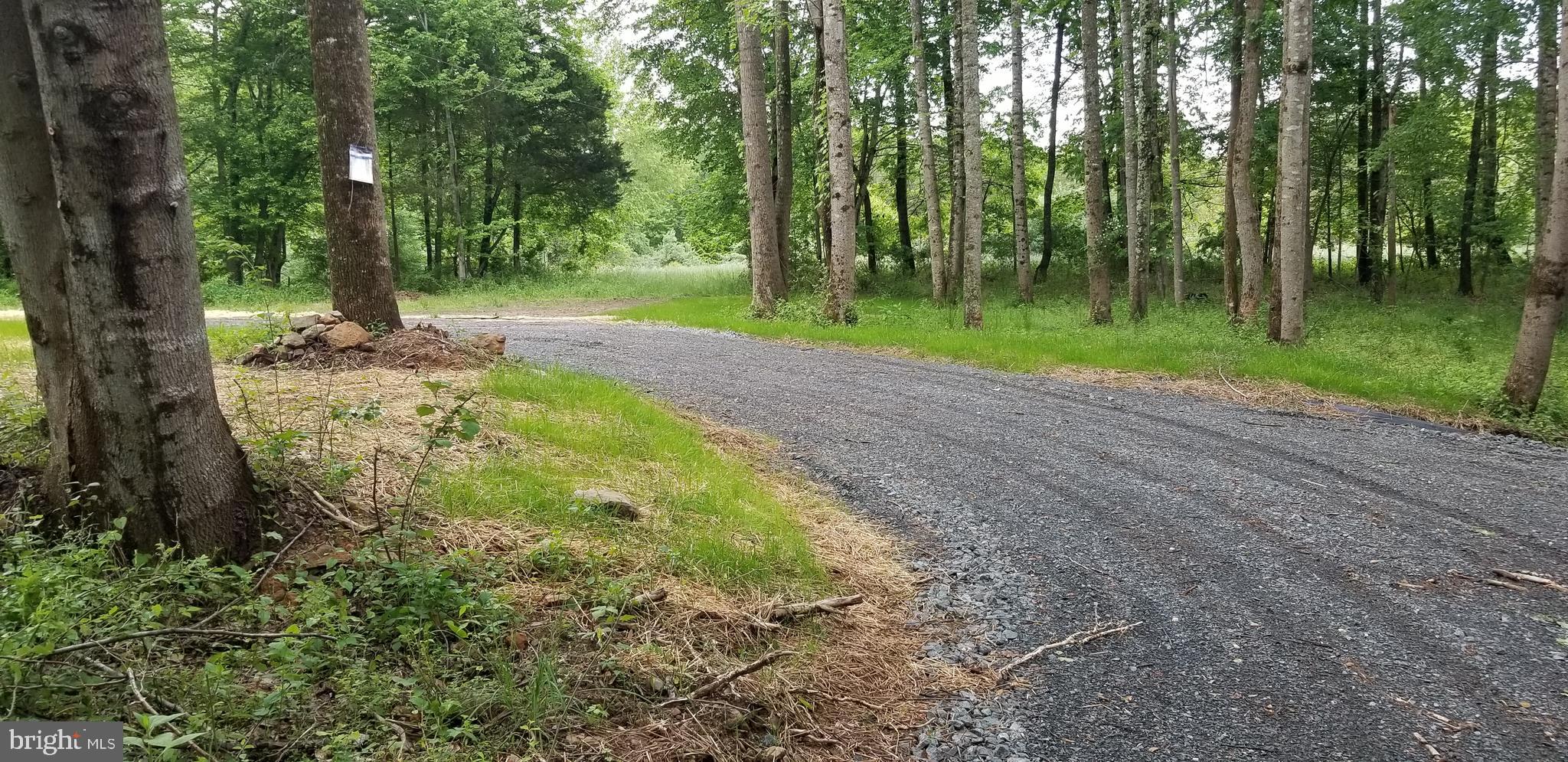 8050 Leeds Manor Road Marshall, VA 20115 - Photo 16 of 21 Private gravel road approaching property