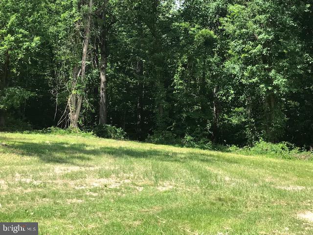 8050 Leeds Manor Road Marshall, VA 20115 - Photo 8 of 21 More views