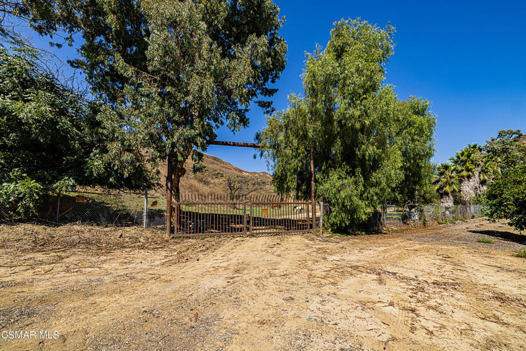a row of trees with a house in the background