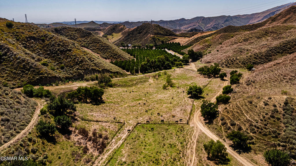 Bixby Road Somis, CA 93066 - Photo 6 of 33 a view of a dry yard with wooden fence