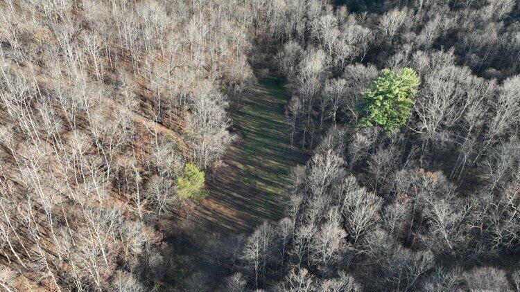 0 Van Zant Road Langsville, OH 45741 - Photo 22 of 36 37E57E08-3703-469F-9BCF-C6D5493E82DC