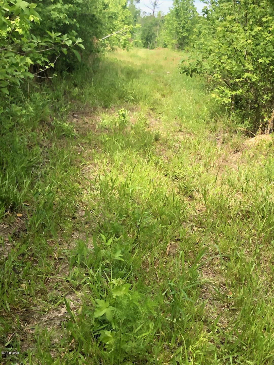 0 Alford Road Cottondale, FL 32431 - Photo 3 of 5