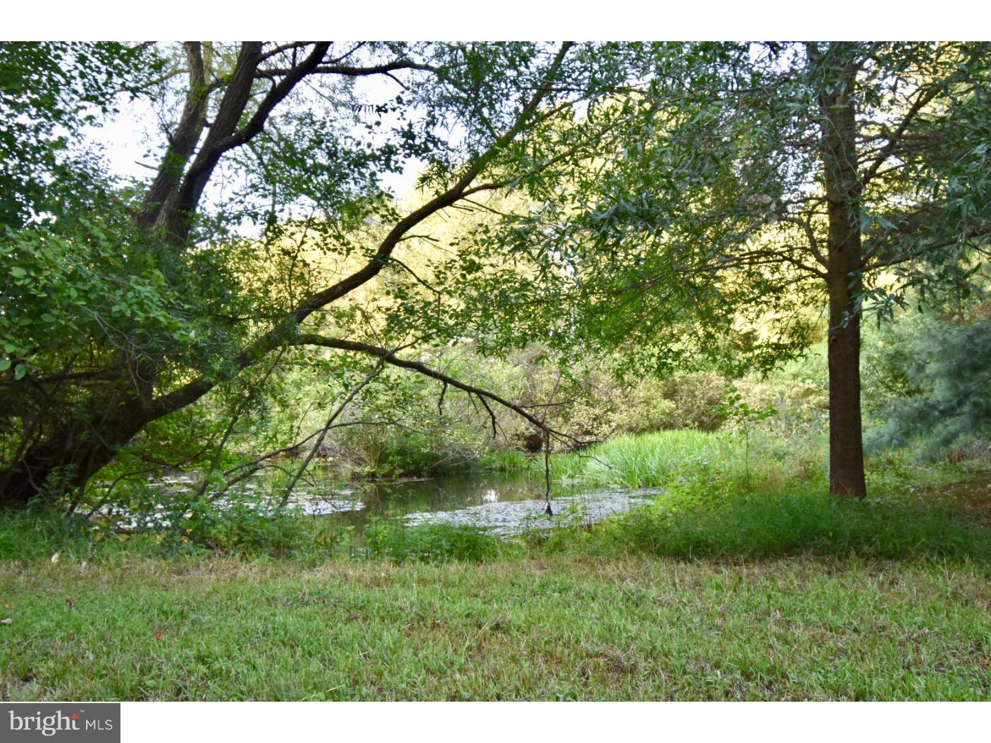 241 Long Swamp Road New Egypt, NJ 08533 - Photo 32 of 35 Gallery Image 32