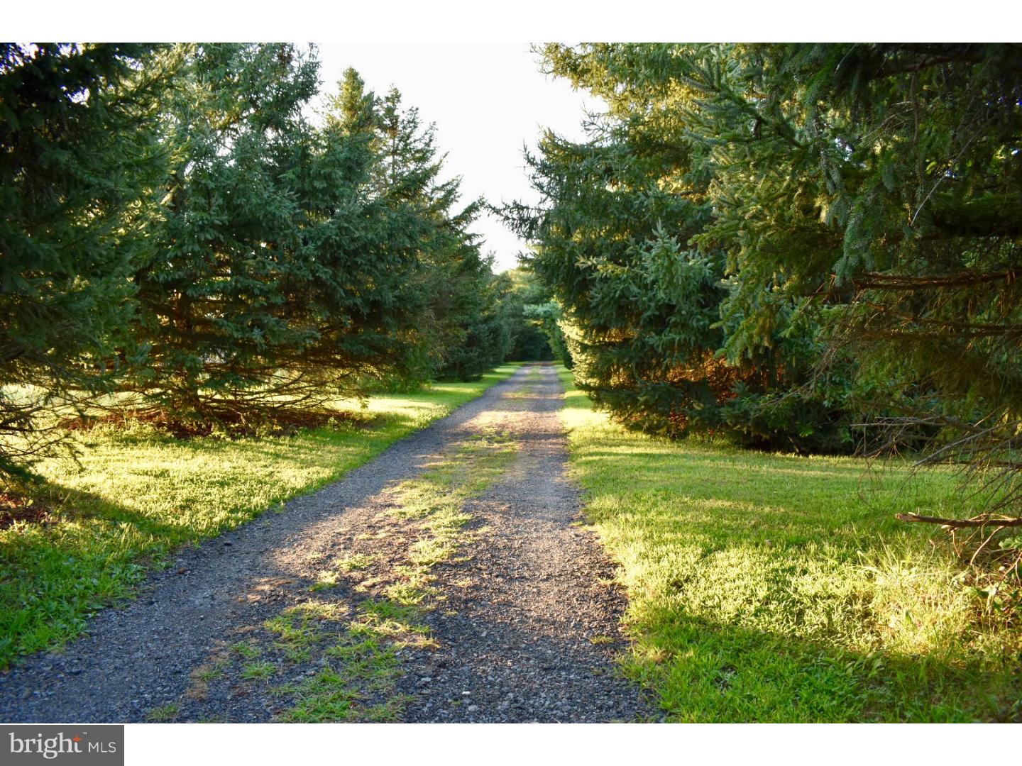 241 Long Swamp Road New Egypt, NJ 08533 - Photo 35 of 35 Gallery Image 35