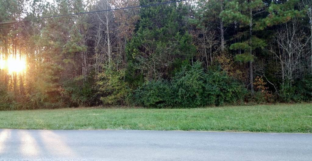 0 White Road Southeast Old Fort, TN 37362 - Photo 1 of 1 Gallery Image 1