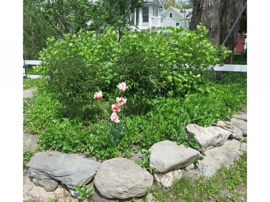 52-54 Bridge Street Huntington, VT 05462 - Photo 27 of 29