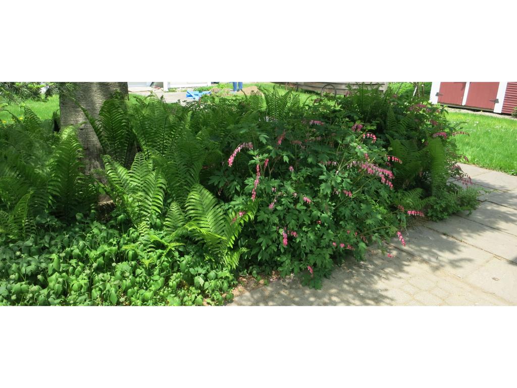 52-54 Bridge Street Huntington, VT 05462 - Photo 28 of 29