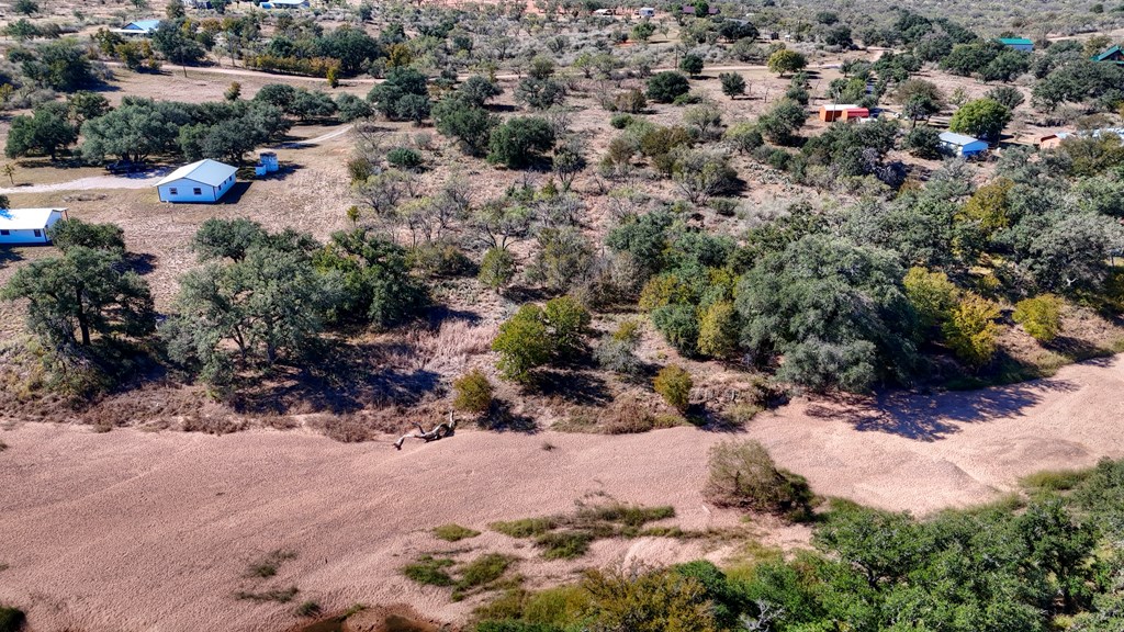 0 Offer Lane Llano, TX 78643 - Photo 11 of 12 a view of a dry yard covered with trees