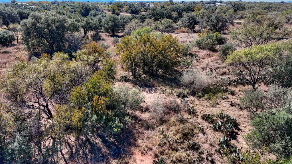 0 Offer Lane Llano, TX 78643 - Photo 12 of 12 a view of a forest with a tree