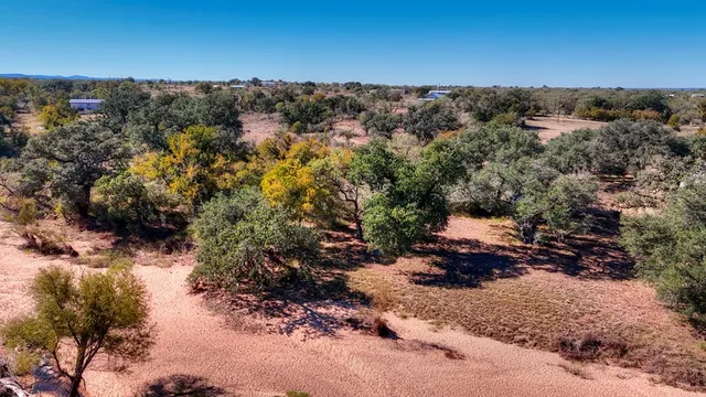 a view of a forest with trees in the background