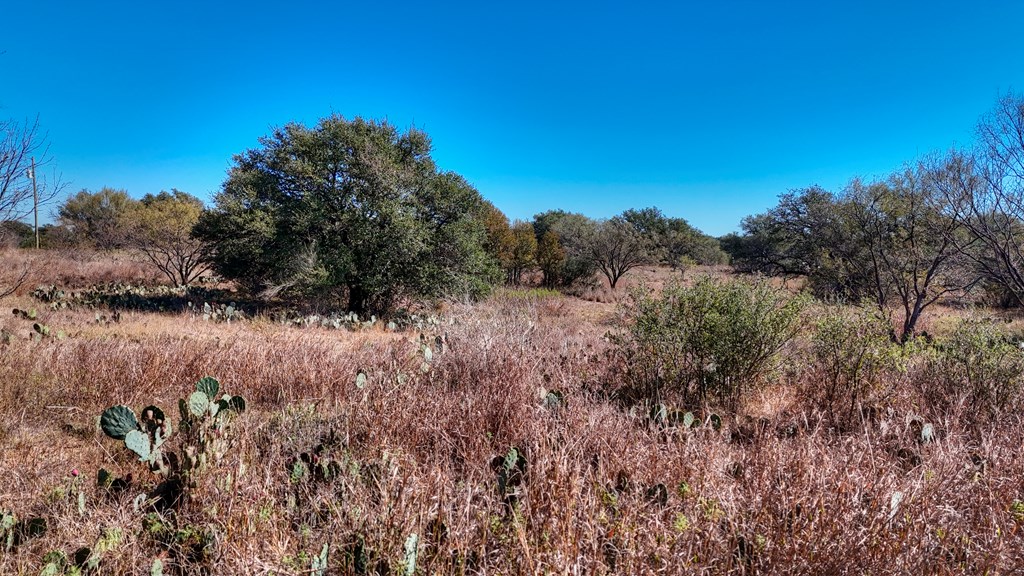 0 Offer Lane Llano, TX 78643 - Photo 8 of 12 a view of a forest with trees in the background