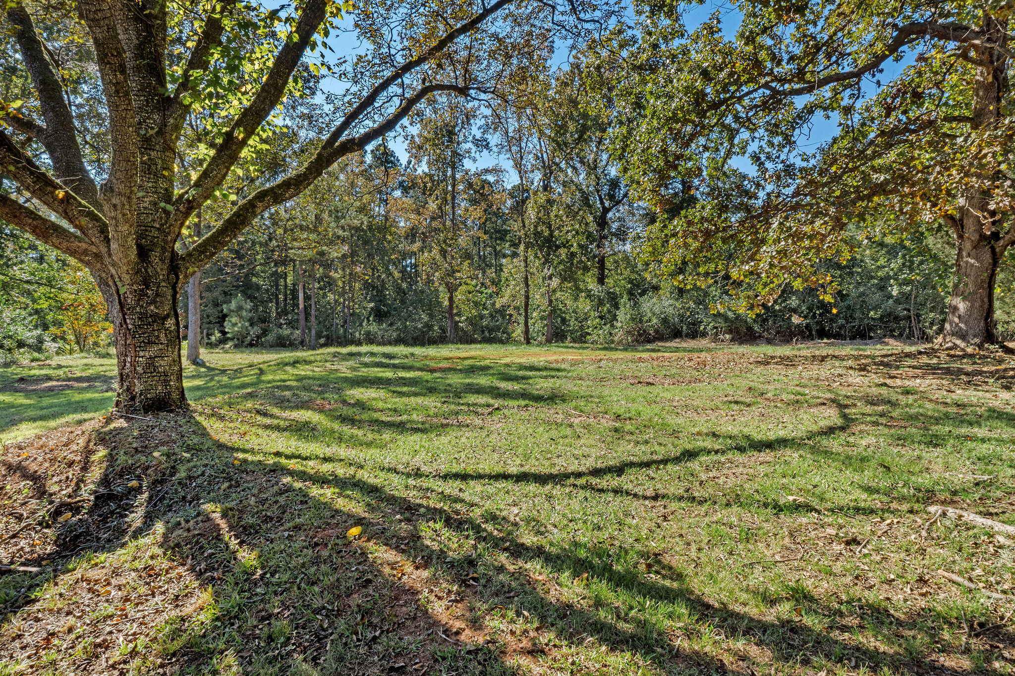 514 State Rd S-33-132 McCormick, SC 29835 - Photo 13 of 39 BrownSt-29