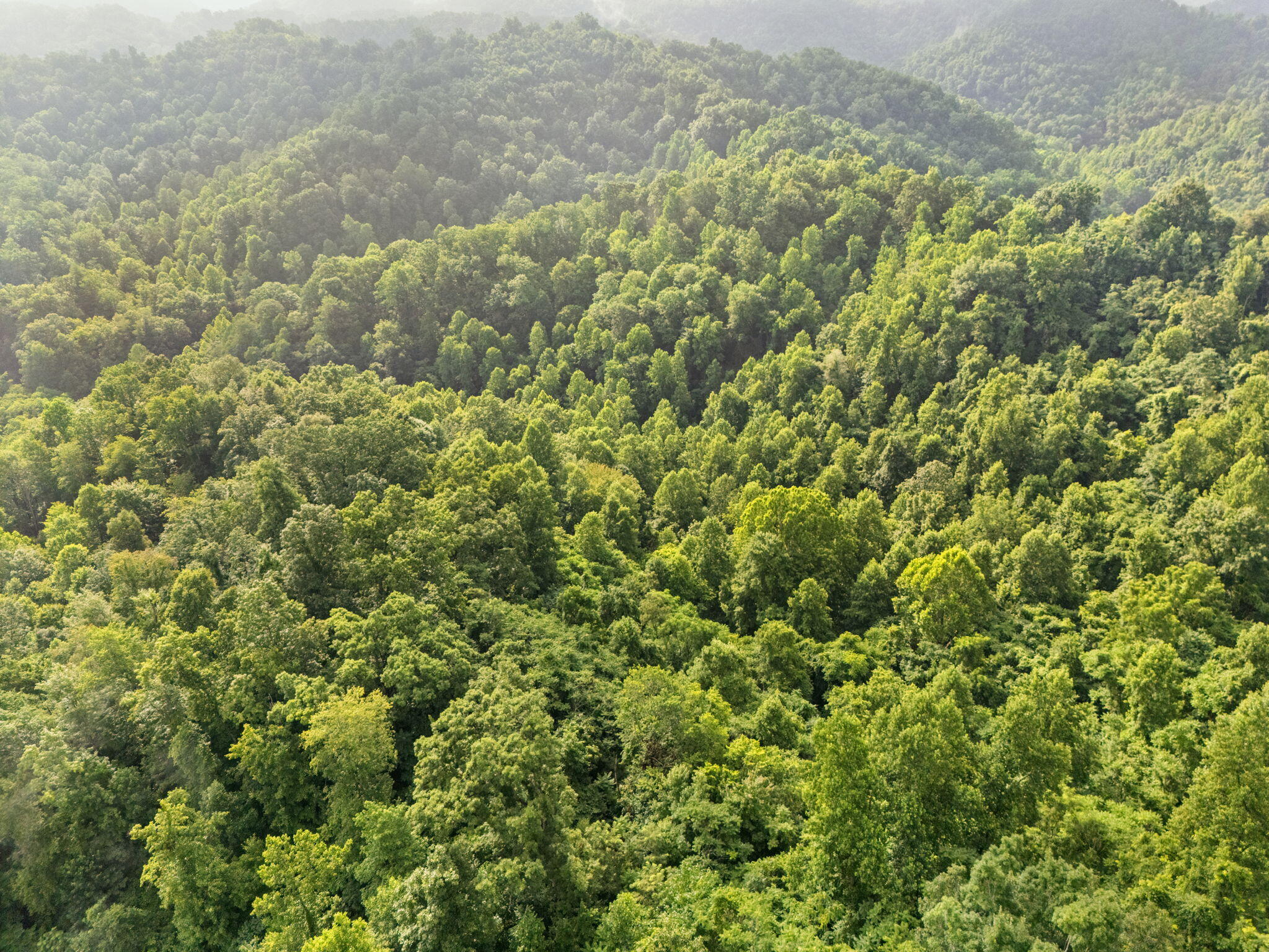 492 Sugar Camp Road Booneville, KY 41314 - Photo 41 of 44 31-web-or-mls-DJI_20250701091152_0087_D