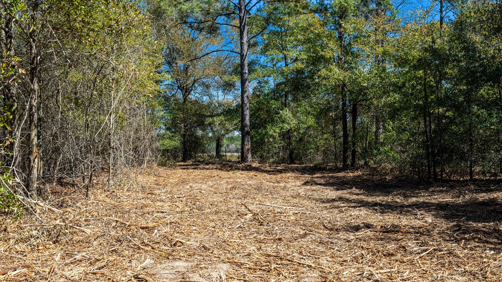 497 George Cannon Road Box Springs, GA 31801 - Photo 24 of 35 Gallery Image 24