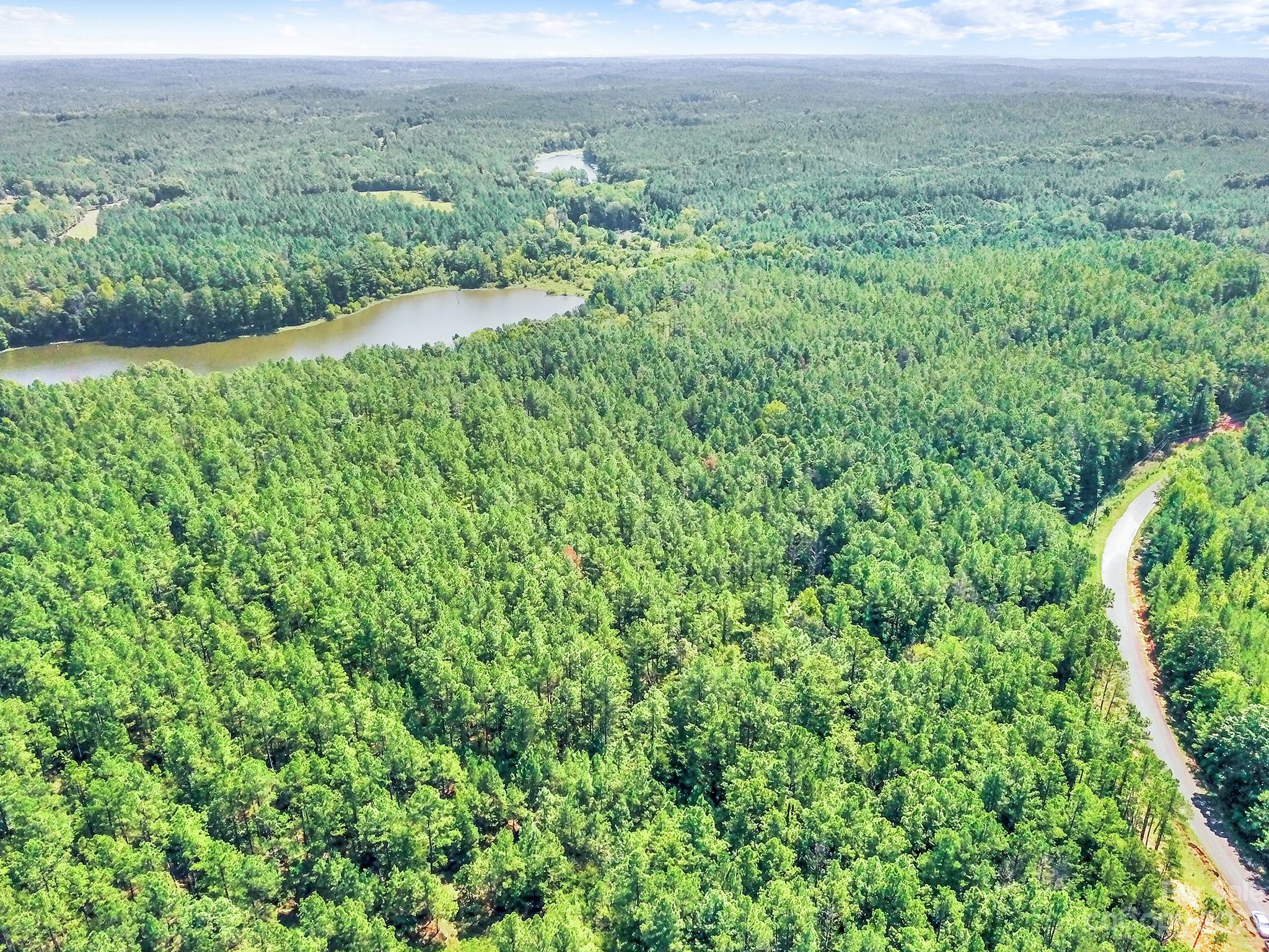 Lot #3 Goings Road Chester, SC 29706 - Photo 4 of 16 a view of a lush green forest with trees and some houses