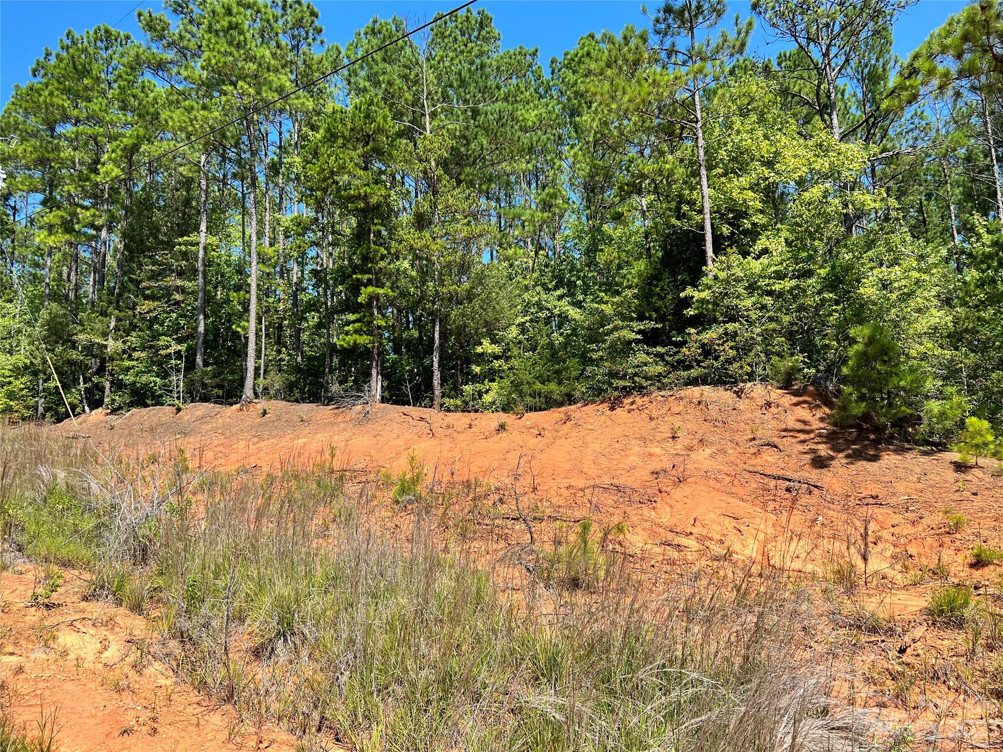 Lot #3 Goings Road Chester, SC 29706 - Photo 6 of 16 a view of a yard with a tree