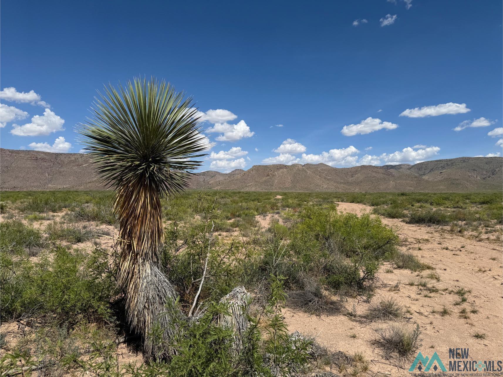 Tbd Deer Leap Road Rodeo, NM 88056 - Photo 7 of 12