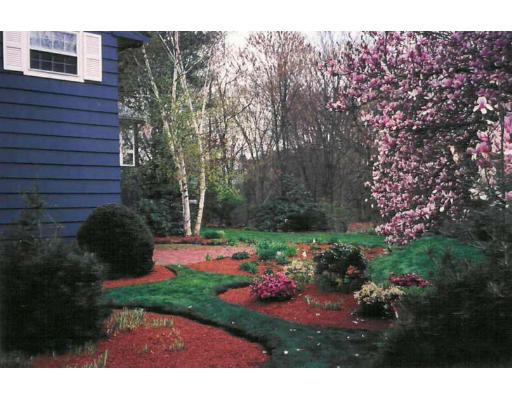 237 Worthen Road East Lexington, MA 02421 - Photo 12 of 12