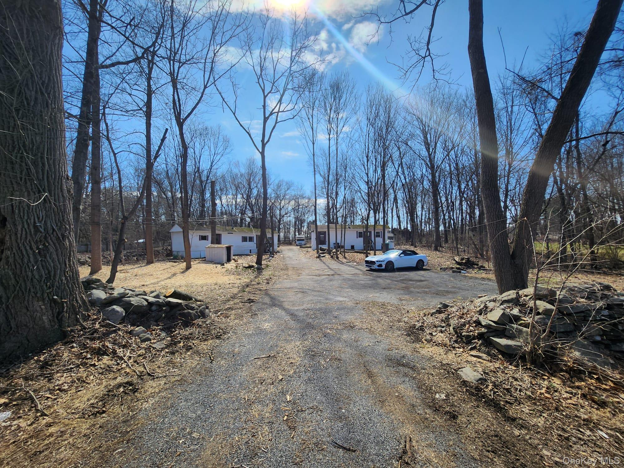 a view of yard with trees