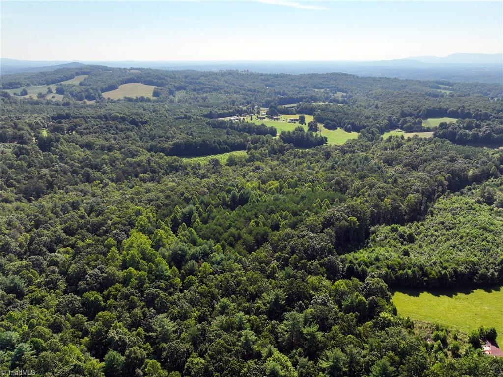 918 Slate Mountain Road Mount Airy, NC 27030 - Photo 28 of 33 Gallery Image 28