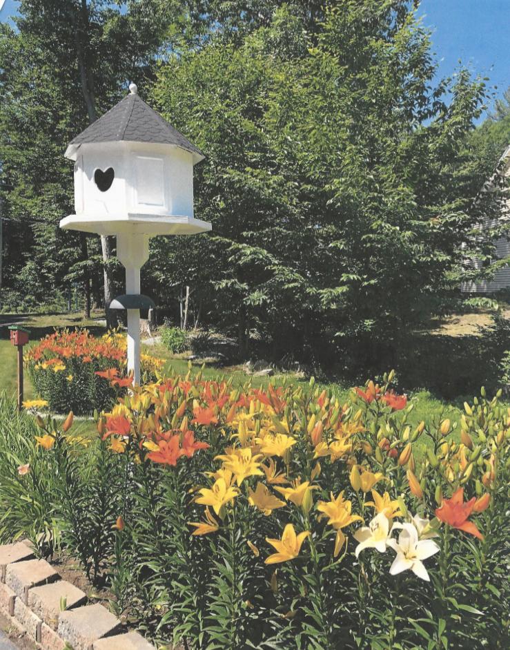 29 Granite Ridge Road Windham, ME 04062 - Photo 48 of 48 Birdhouse, landscaping