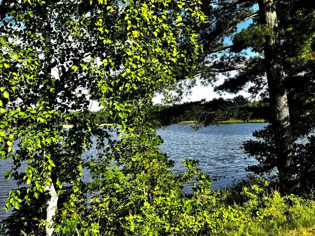 $429,000 | 17251 Highway 6, Deerwood, MN 56444