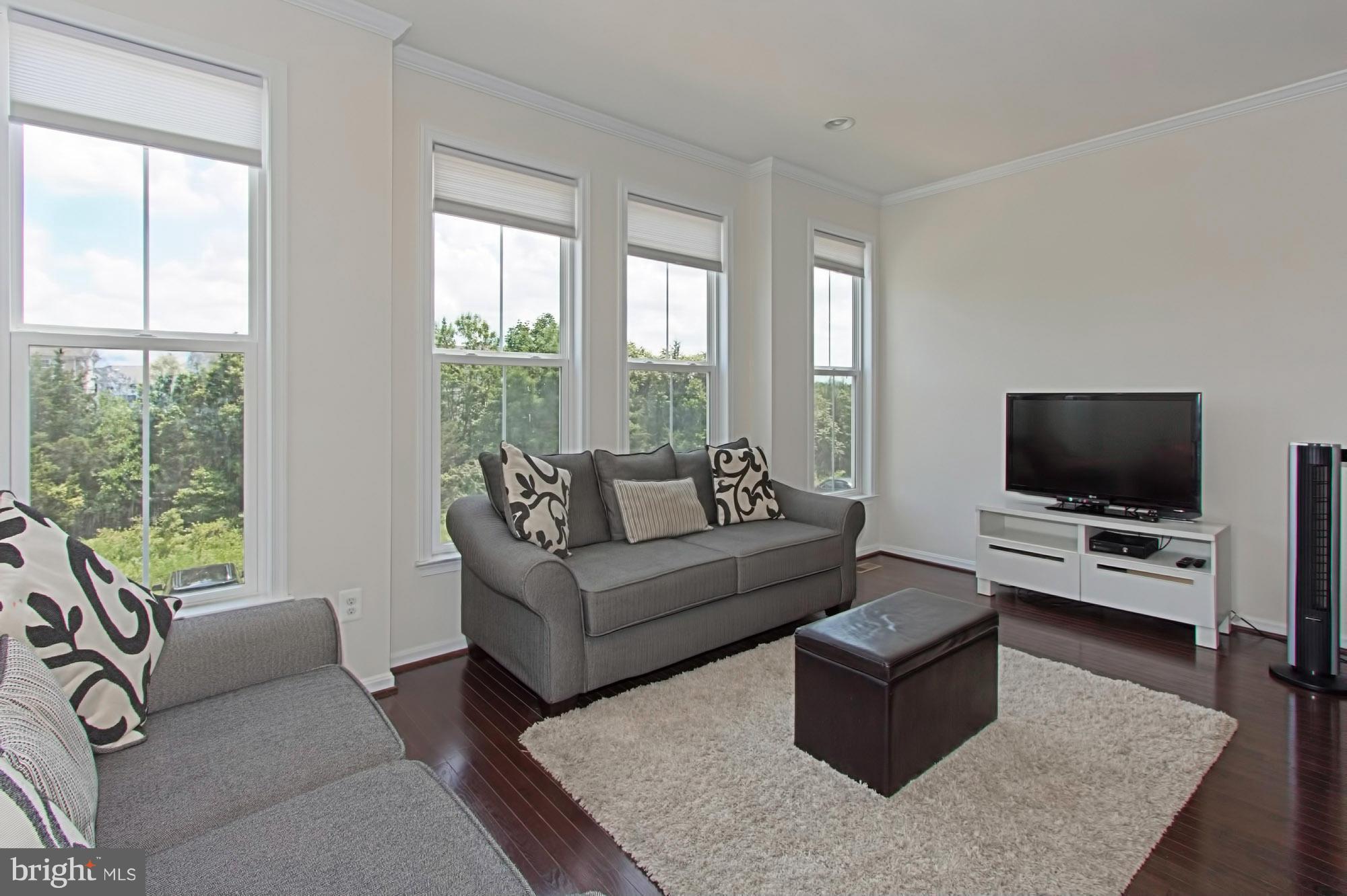 43393 Rickenbacker Square Ashburn, VA 20147 - Photo 14 of 30 Living Room
