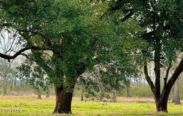 $67,500 | 0 Tbd 5th Street, Iota, LA 70543