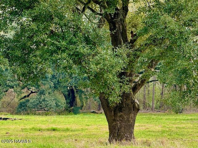0 Tbd 5th Street Iota, LA 70543 - Photo 12 of 28 11