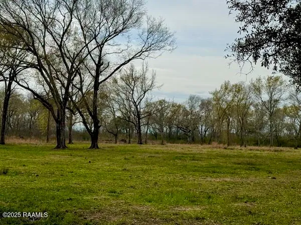 $67,500 | 0 Tbd 5th Street, Iota, LA 70543