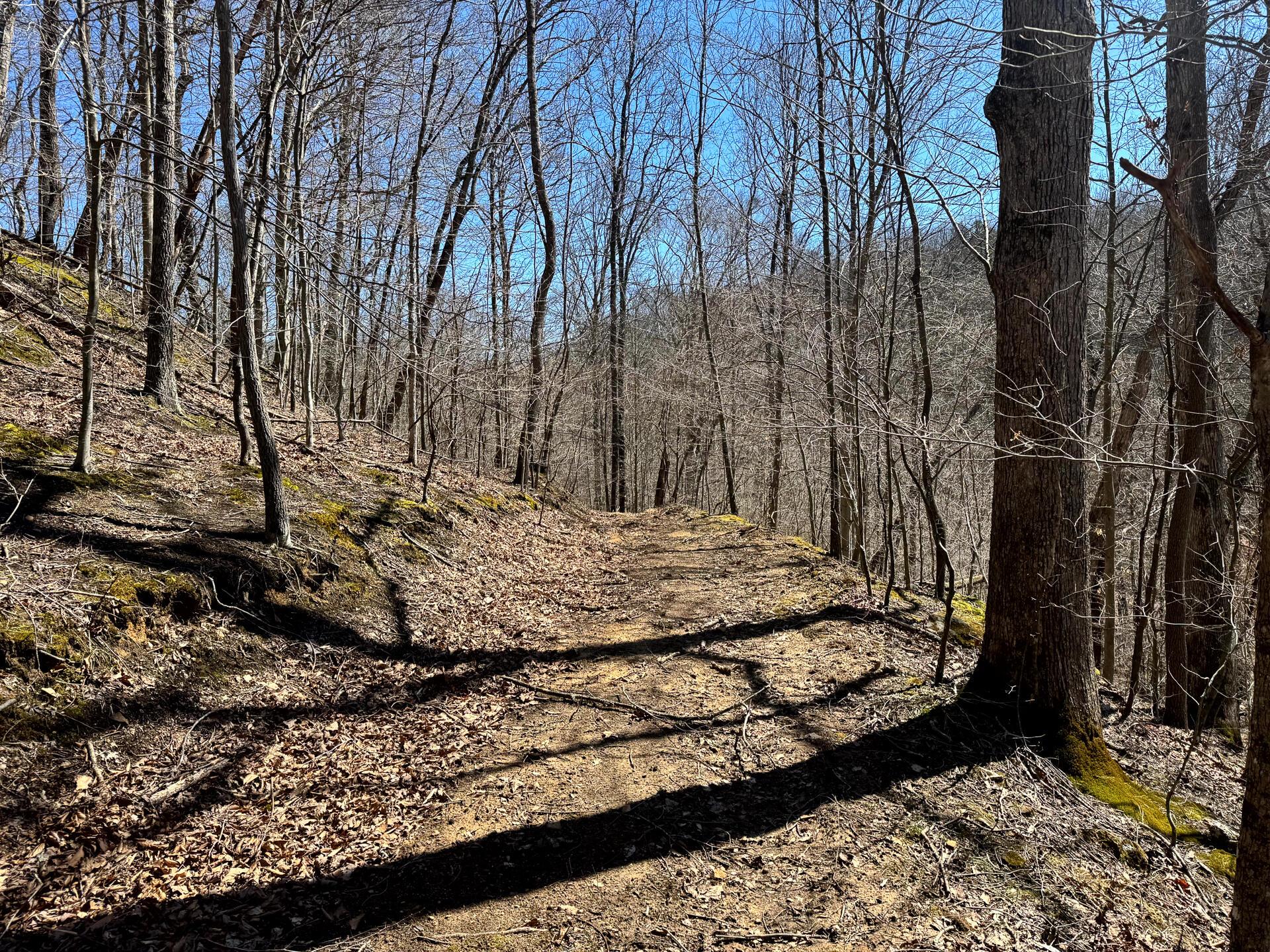 0 Remely Road, Unit MILLSTONE CAVES TRACT 1) Cutler, OH 45724 - Photo 33 of 41 CT-35