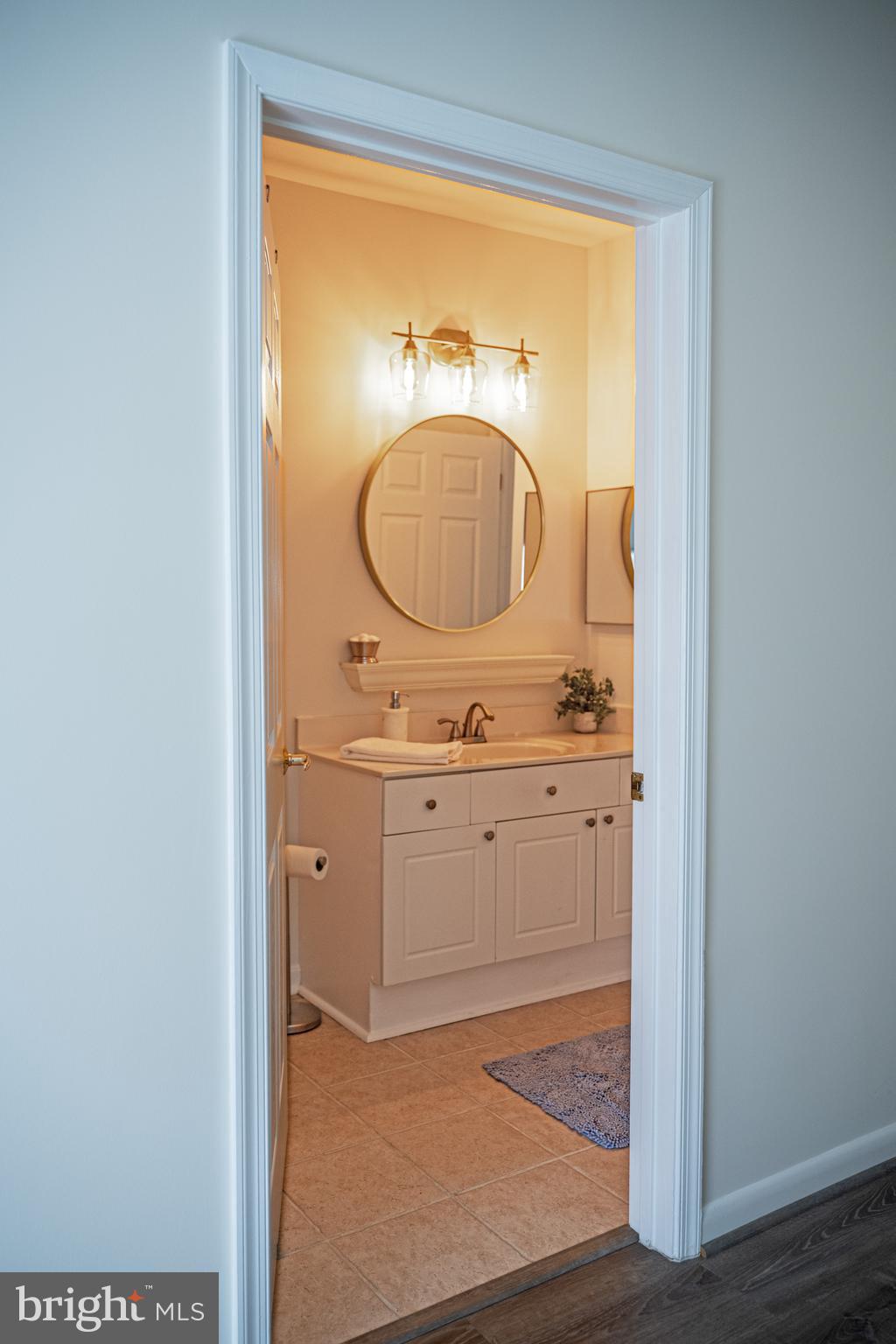 4561 Strutfield Lane, Unit 3115 Alexandria, VA 22311 - Photo 8 of 36 a bathroom with a sink and a mirror