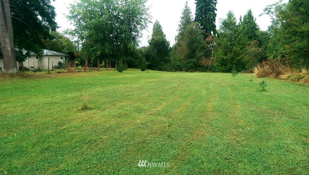 509 Olson Road Longview, WA 98632 - Photo 4 of 24 Gallery Image 4