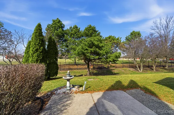 a view of a park with large trees