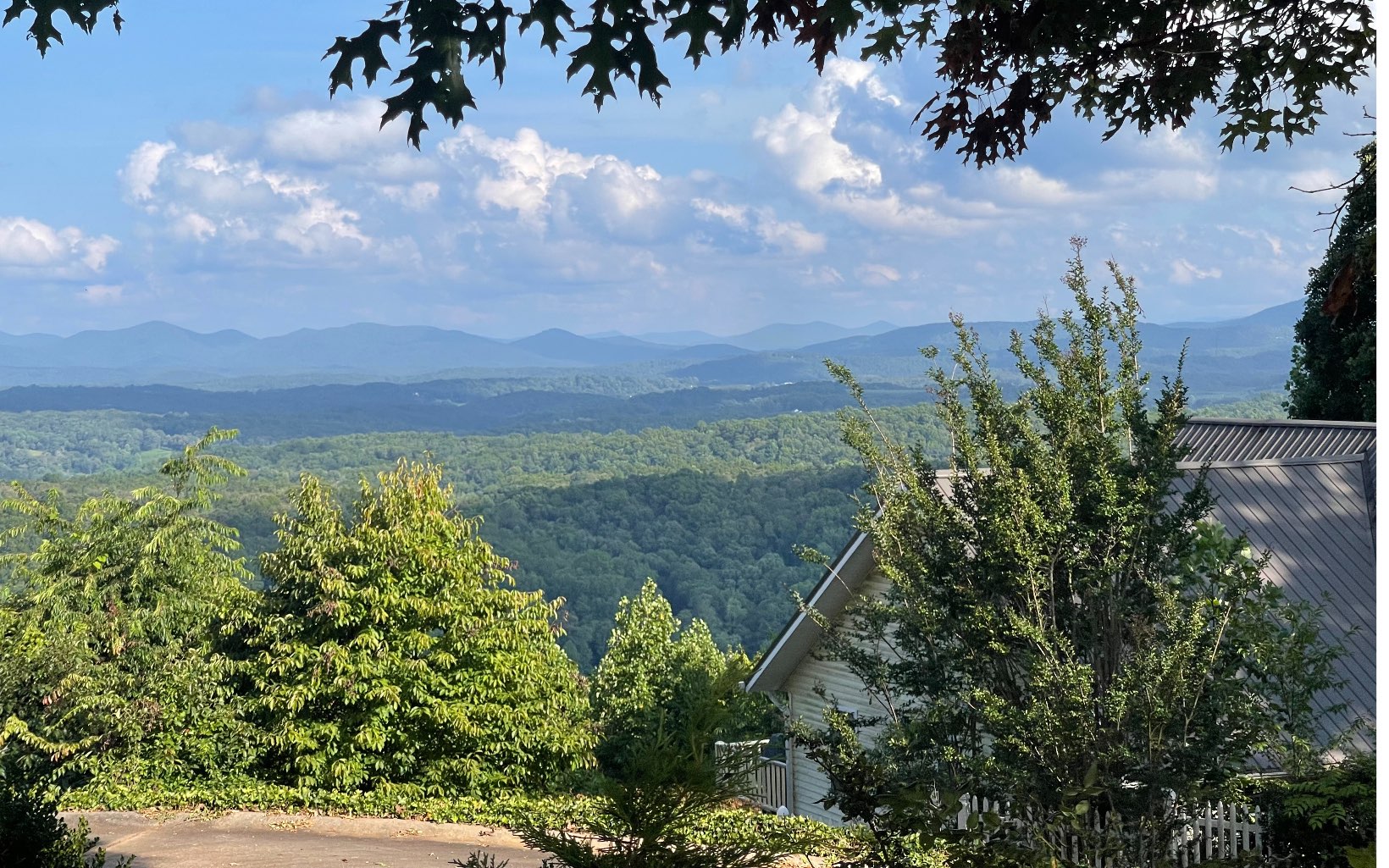 259 Sky High Drive Blue Ridge, GA 30513 - Photo 3 of 4 Additional View