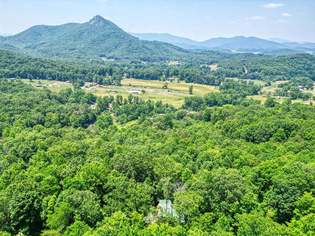 2529 Hunter Road Hiawassee, GA 30546 - Photo 31 of 52