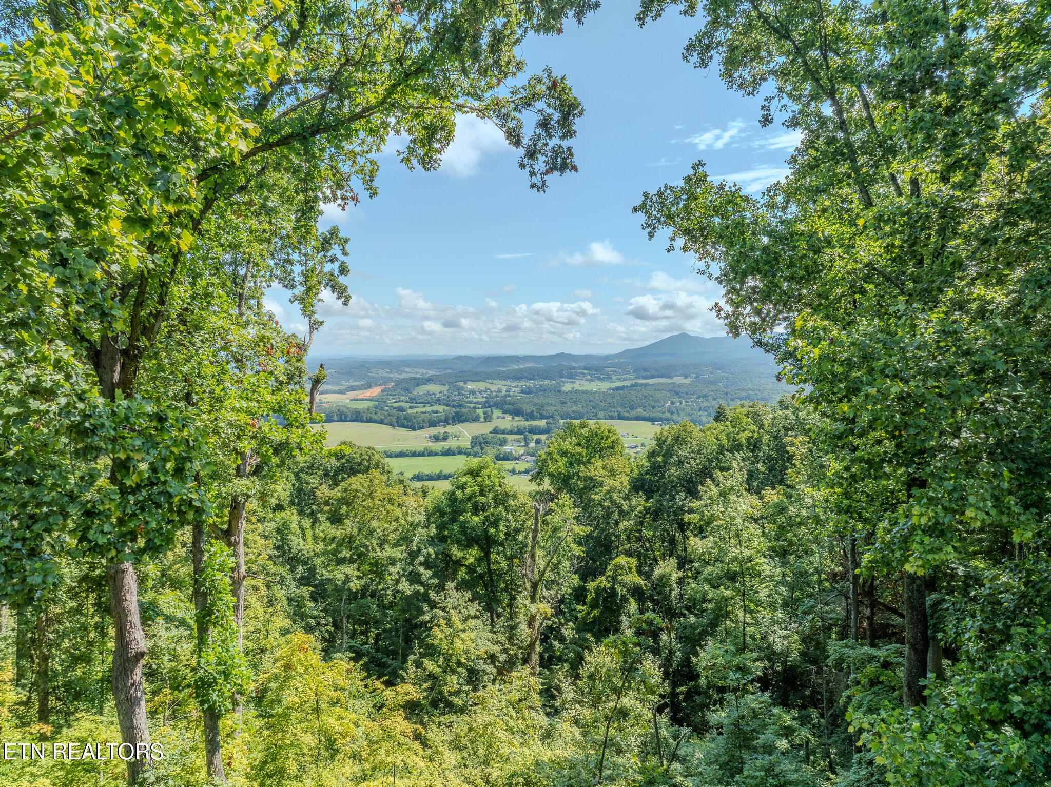 431 Thomas Loop Road Sevierville, TN 37876 - Photo 3 of 60