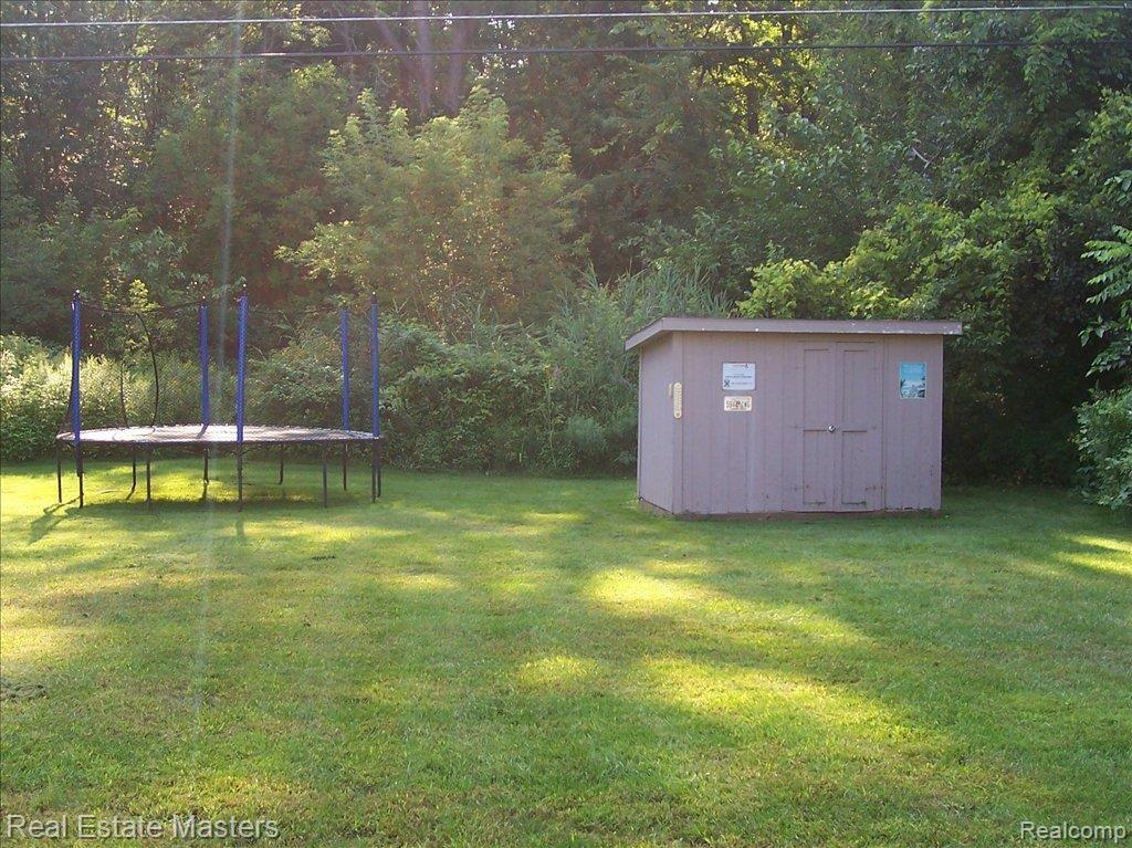 BACK YARD3