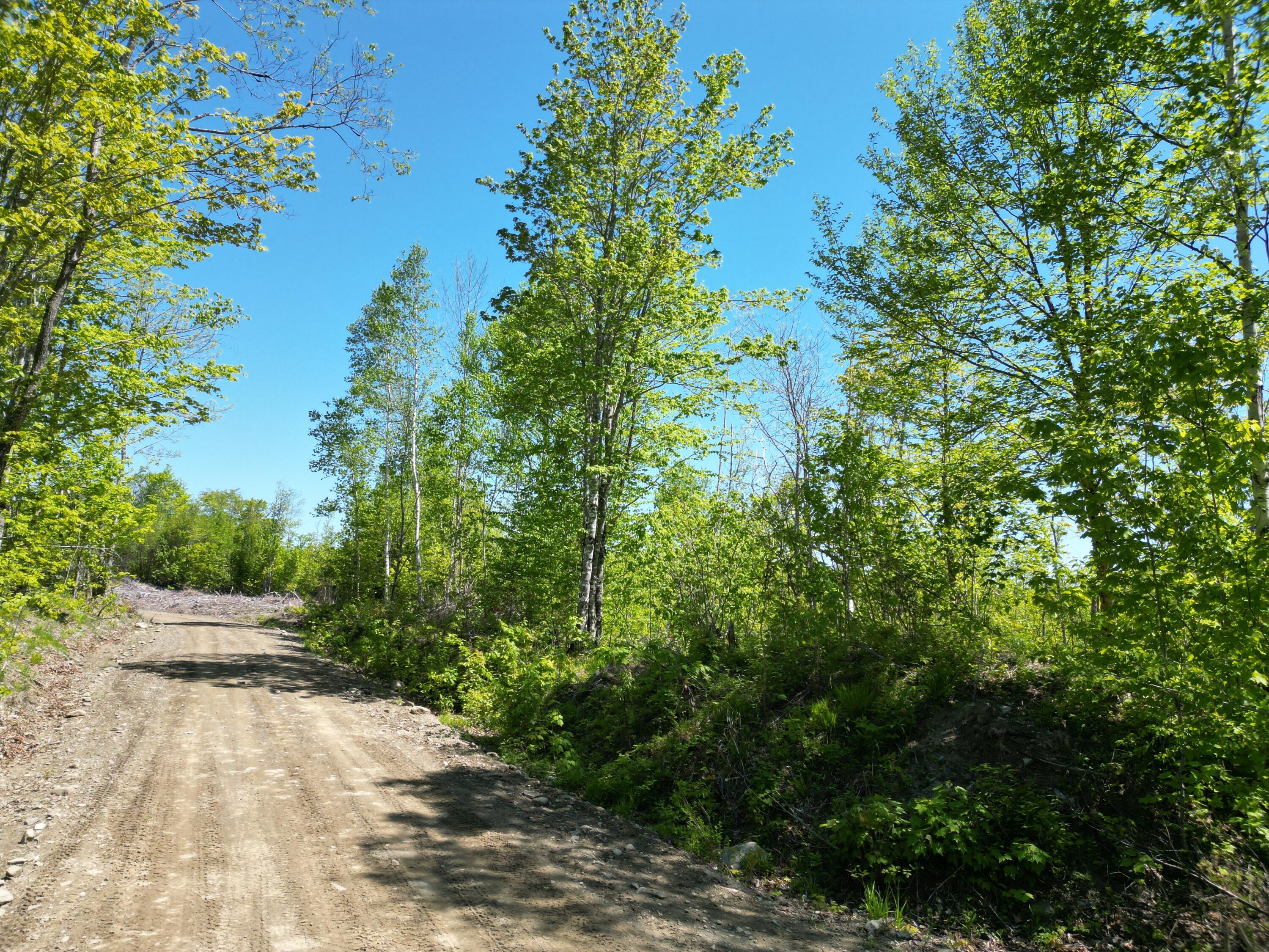 Lot 1 Shep Road Extension Springfield, ME 04487 - Photo 6 of 18 DJI_0029