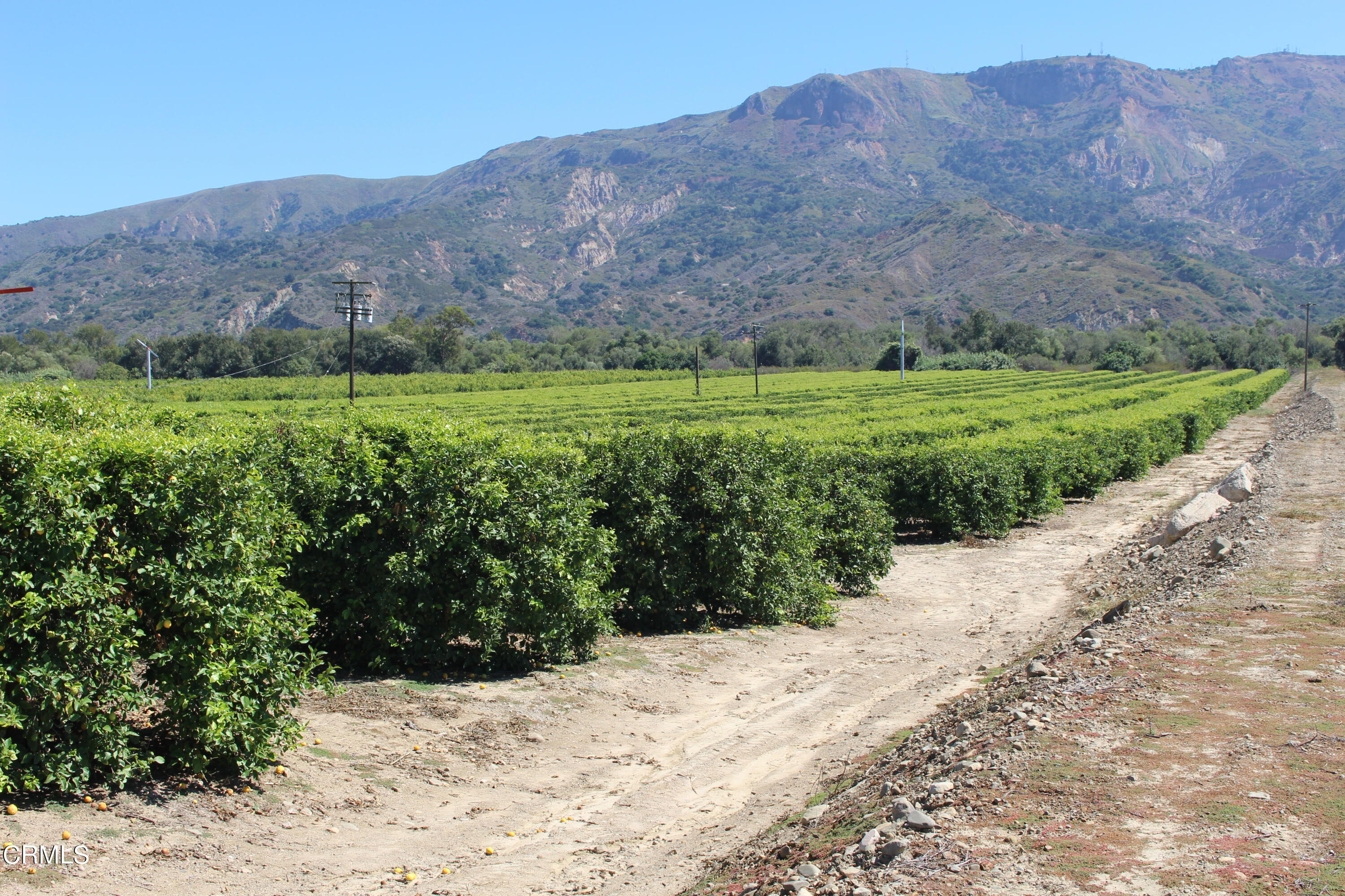 19086 East Telegraph Road Santa Paula, CA 93060 - Photo 3 of 26 a view of outdoor space with mountain view