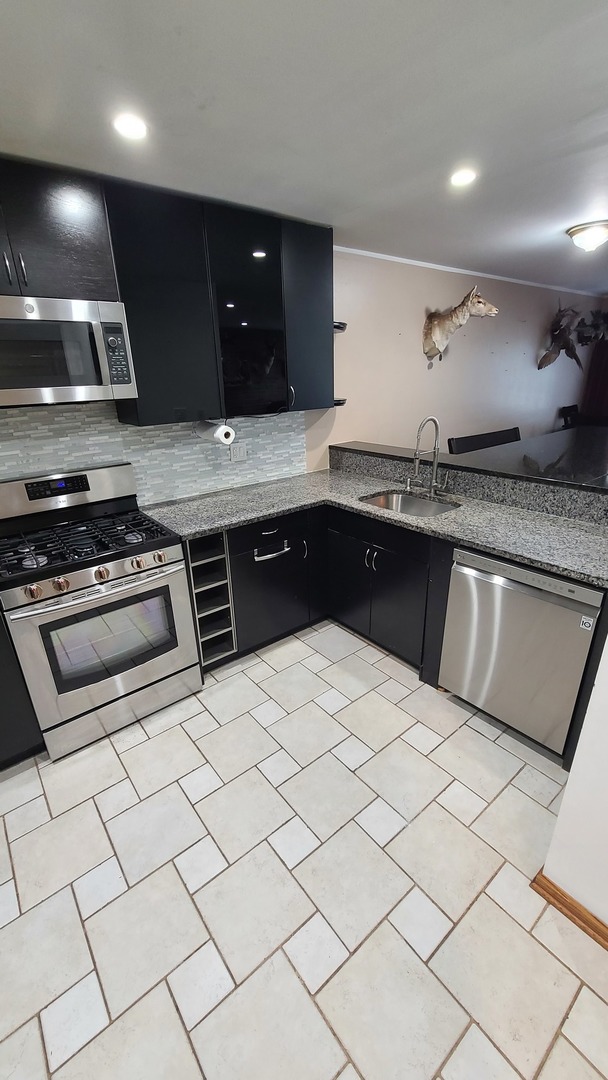 7548 Clarendon Hills Road, Unit 1B Willowbrook, IL 60527 - Photo 13 of 33 a kitchen with stainless steel appliances granite countertop a sink and a stove