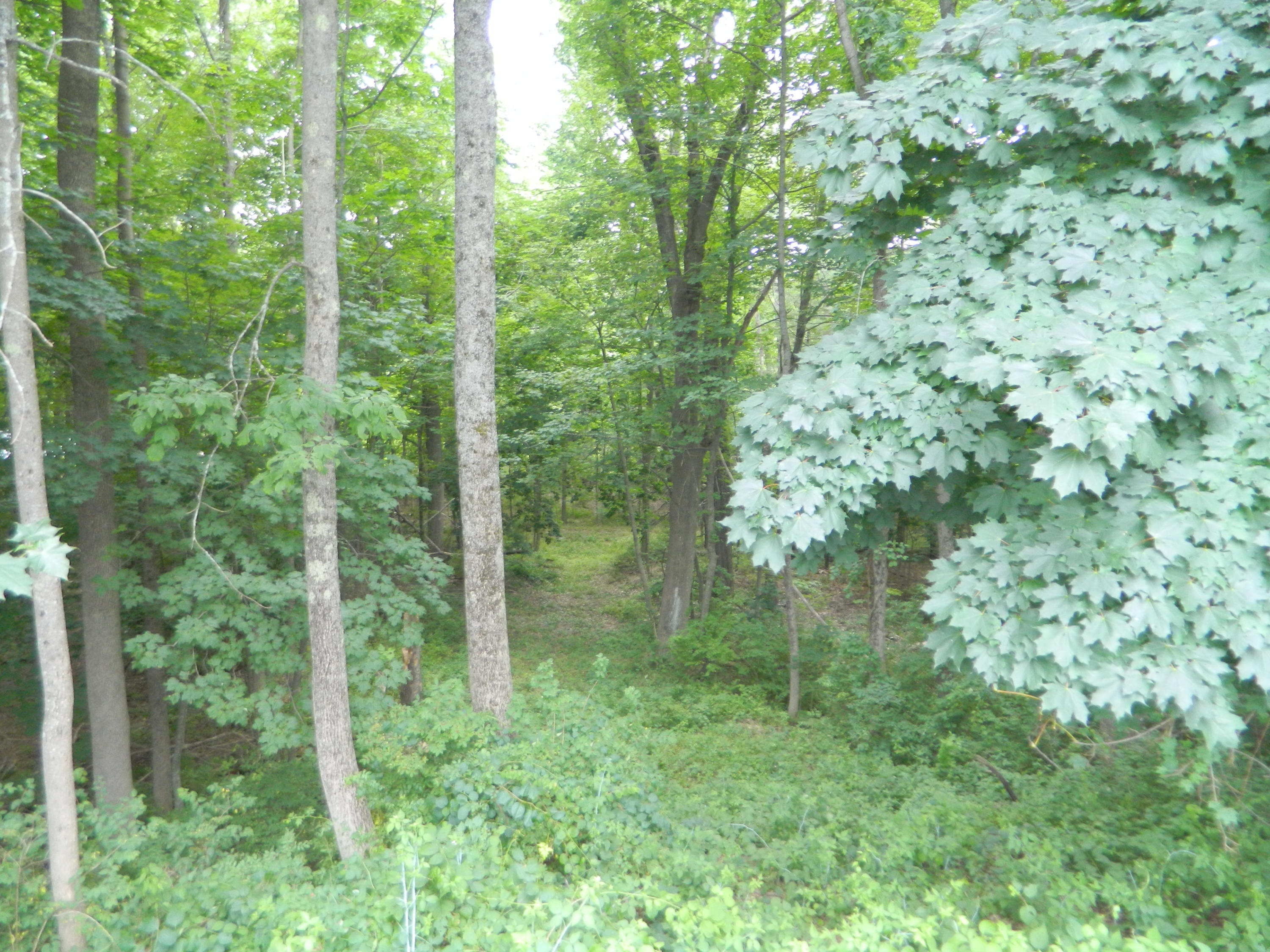 127 Pleasant Street Springvale, ME 04083 - Photo 40 of 47 DSCN7398