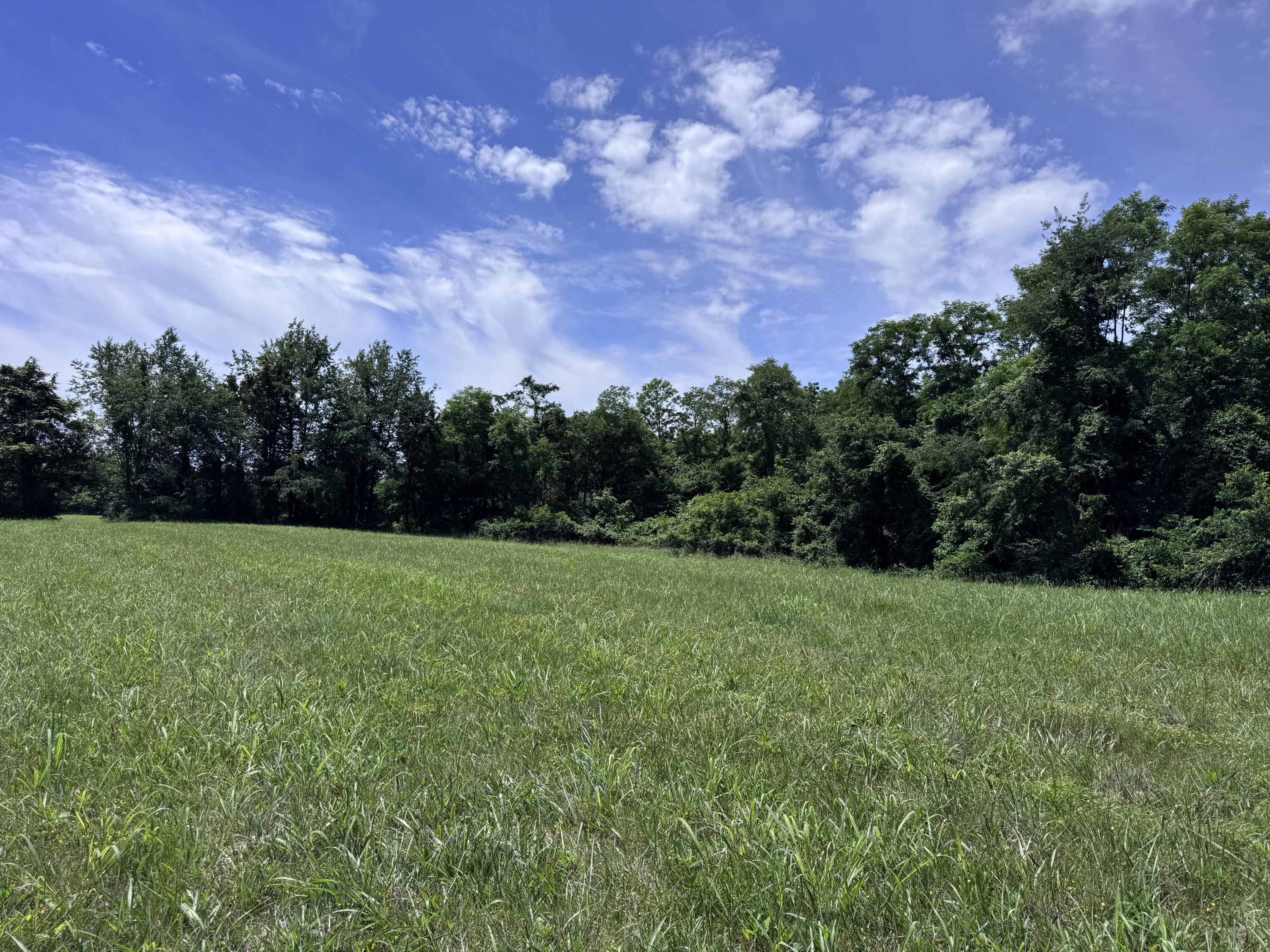 9999 Cedarmore Road Bagdad, KY 40003 - Photo 15 of 24 IMG_8022
