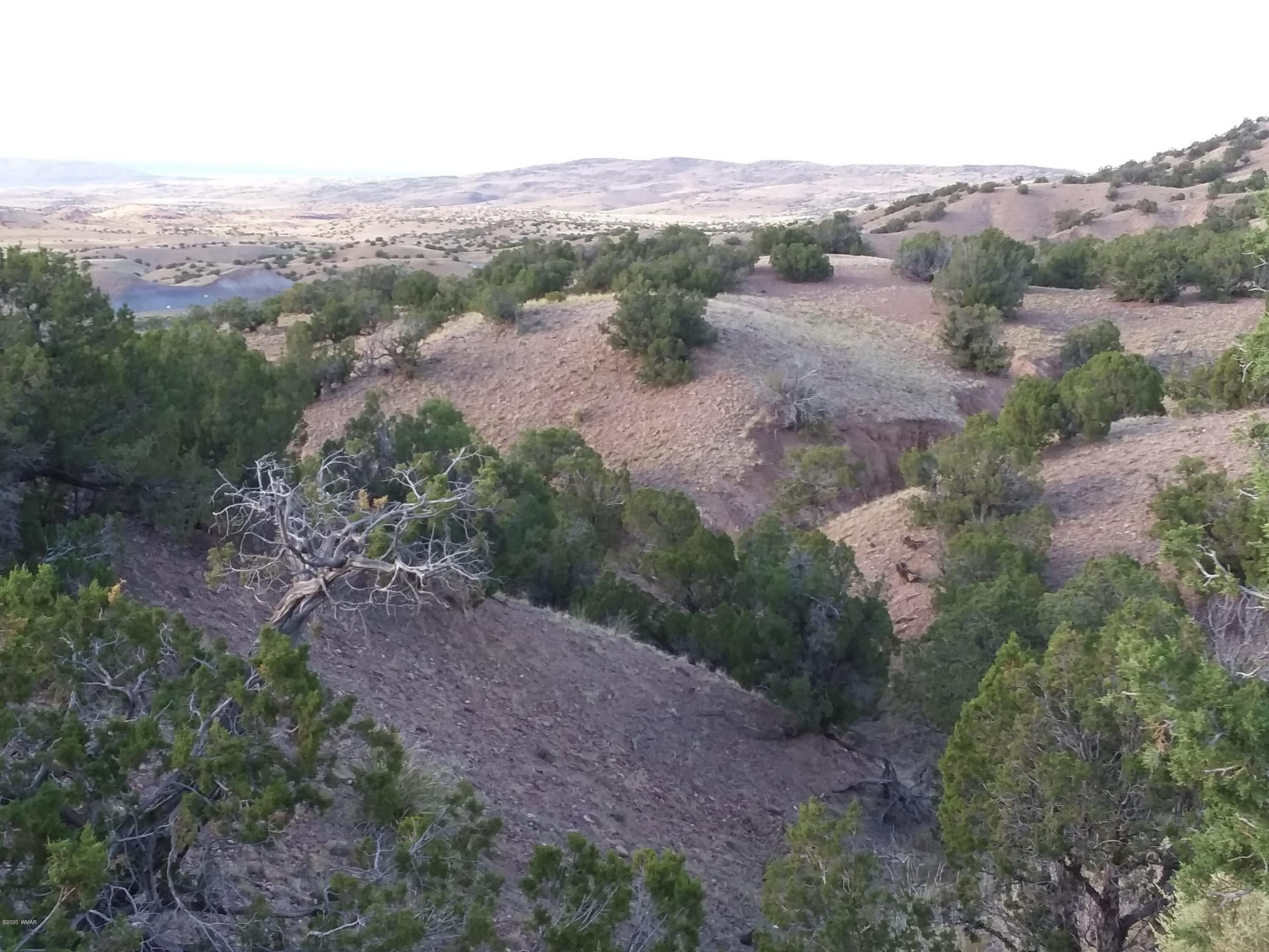 Lot 3 Big Six Ranch Concho, AZ 85924 - Photo 1 of 8