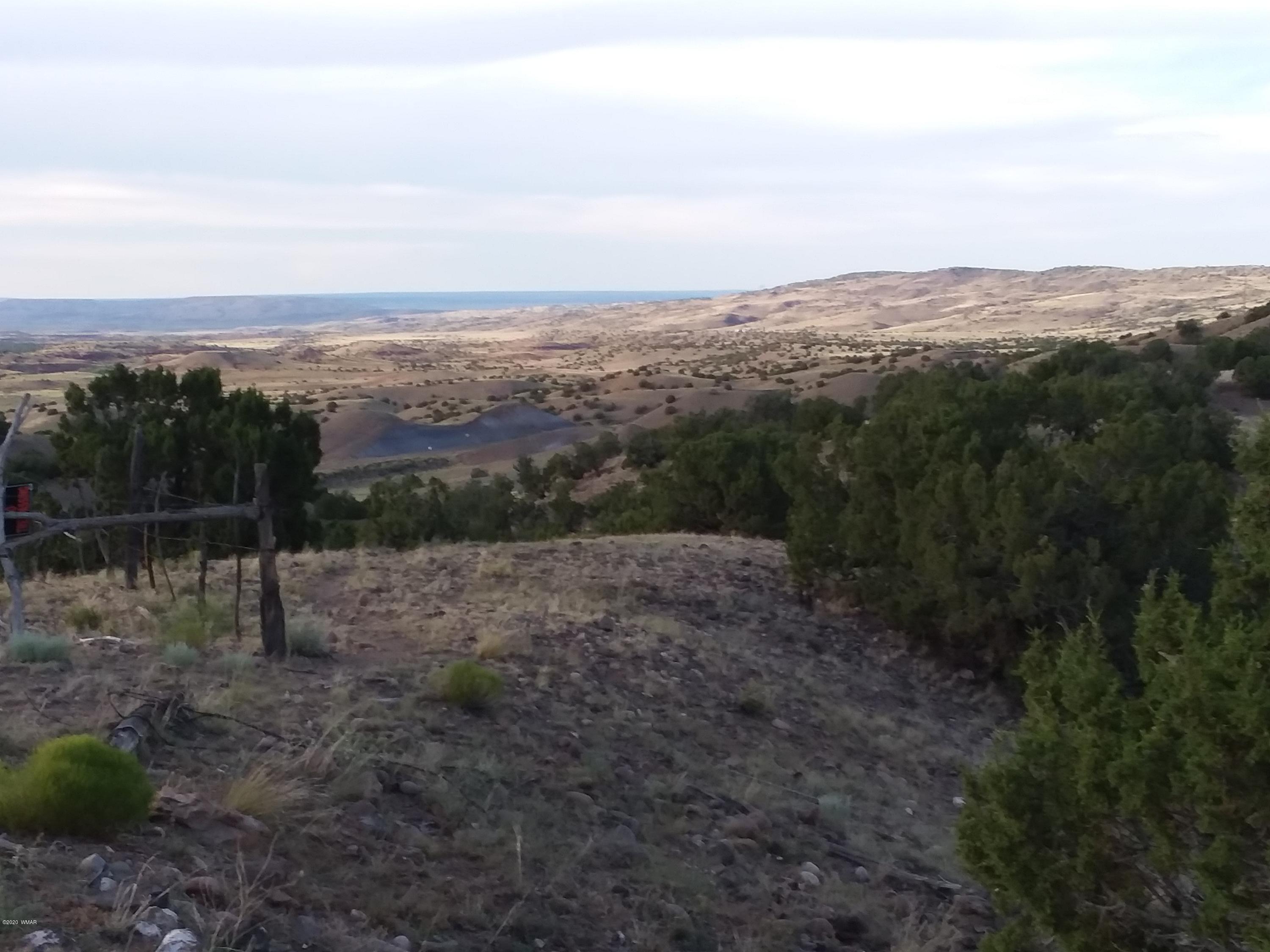 Lot 3 Big Six Ranch Concho, AZ 85924 - Photo 2 of 8