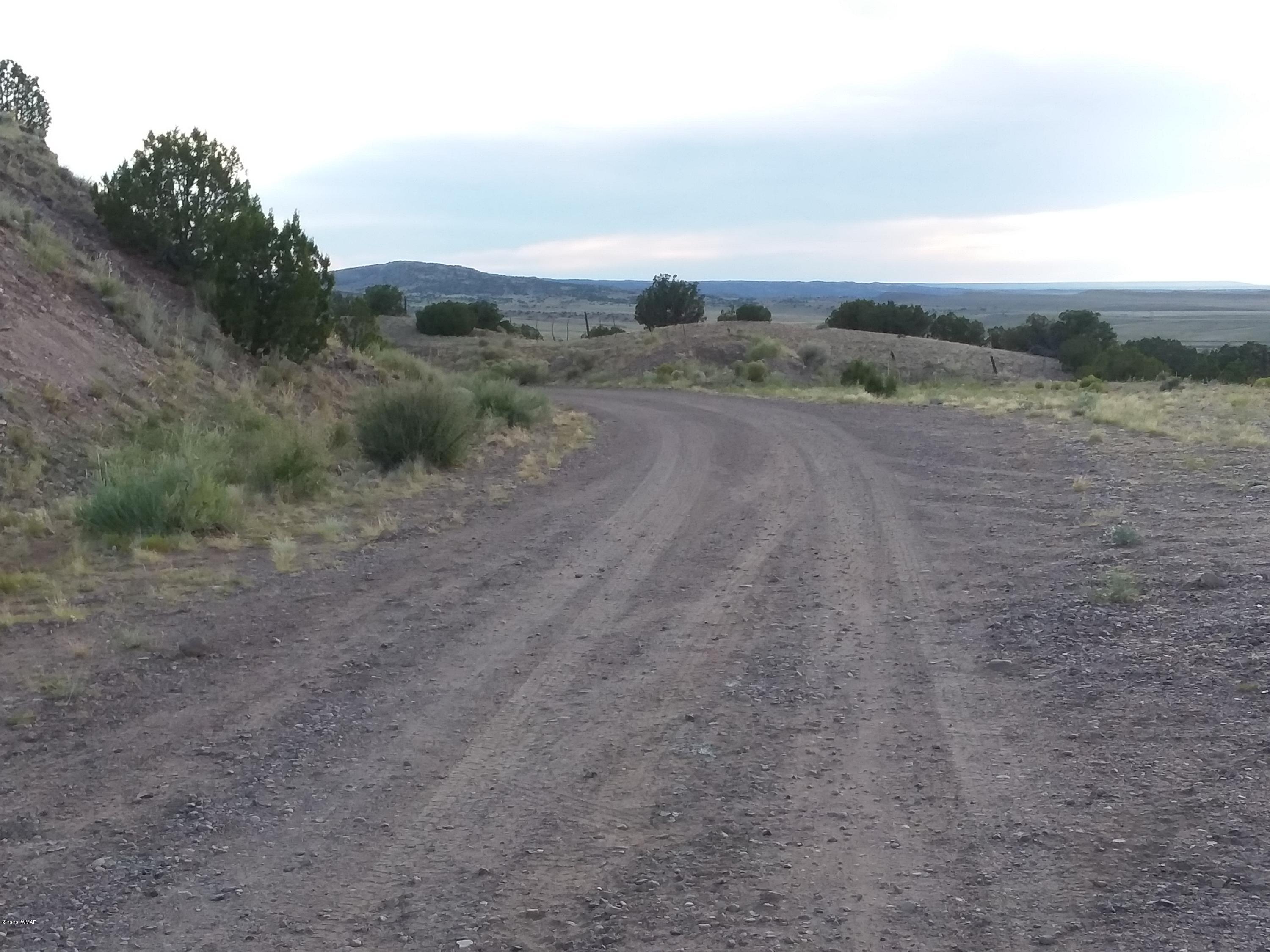 Lot 3 Big Six Ranch Concho, AZ 85924 - Photo 3 of 8