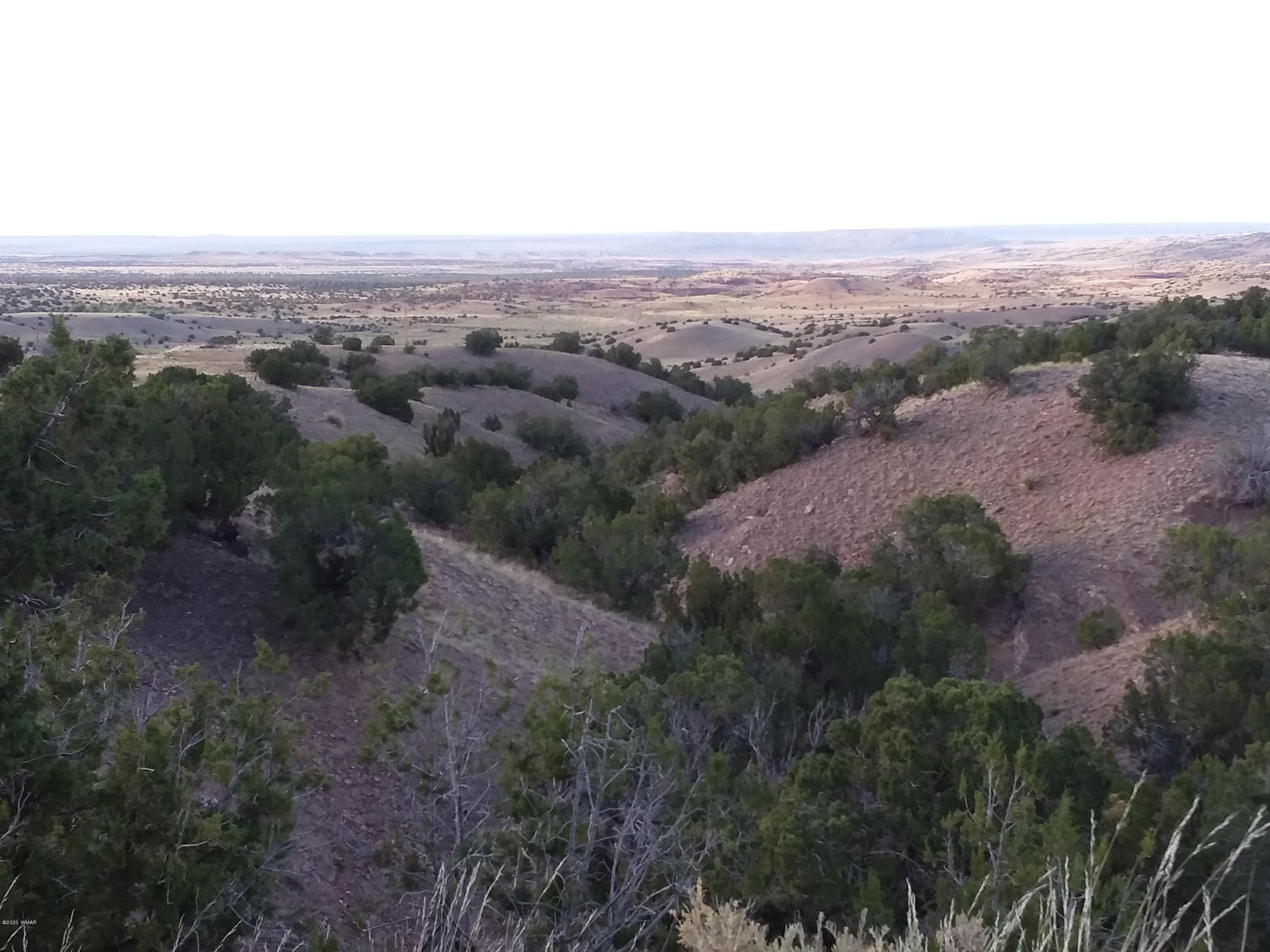Lot 3 Big Six Ranch Concho, AZ 85924 - Photo 4 of 8