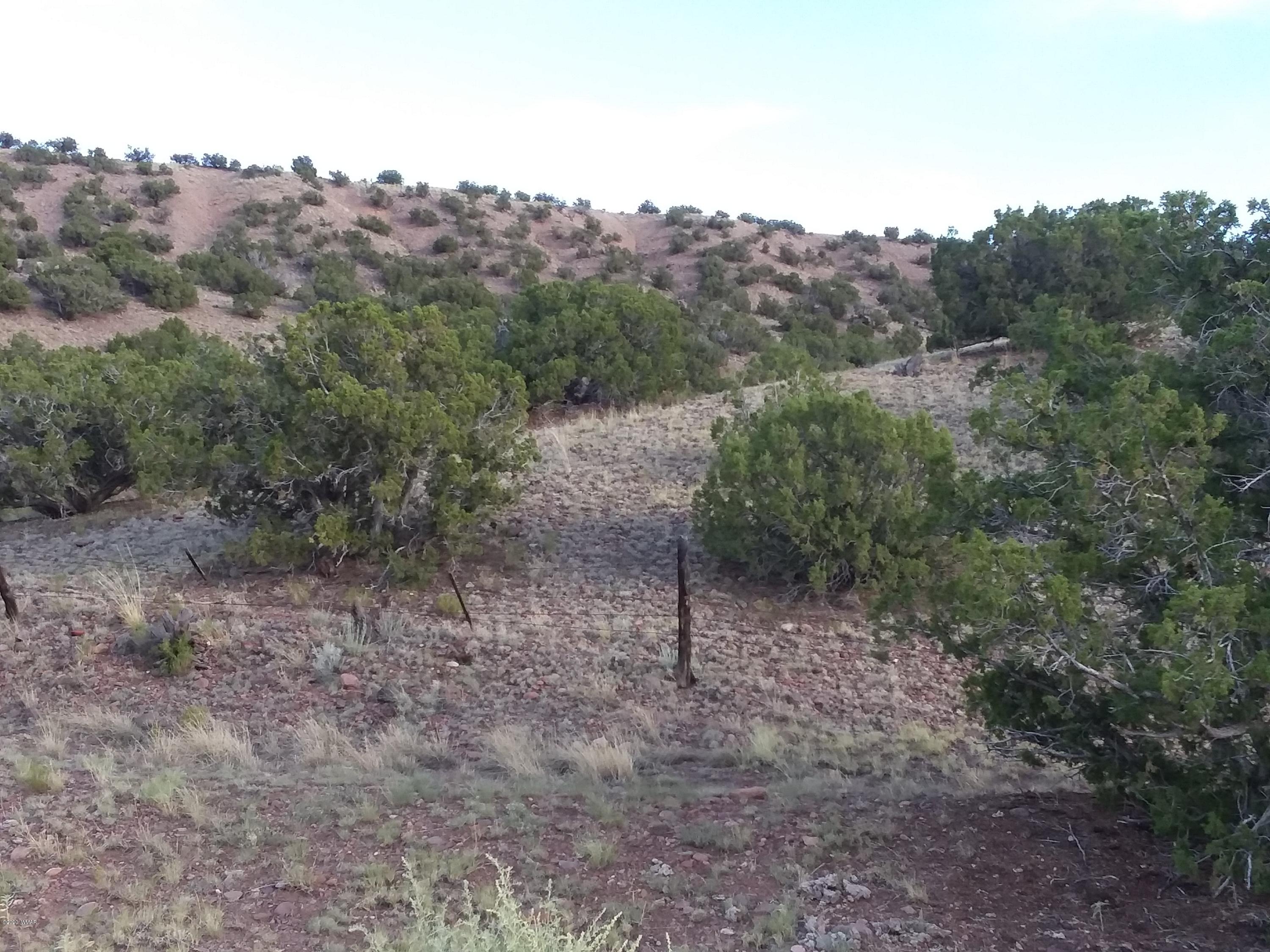 Lot 3 Big Six Ranch Concho, AZ 85924 - Photo 5 of 8