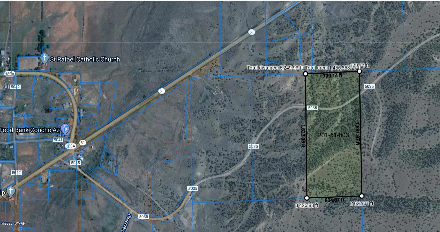 Lot 3 Big Six Ranch Concho, AZ 85924 - Photo 8 of 8